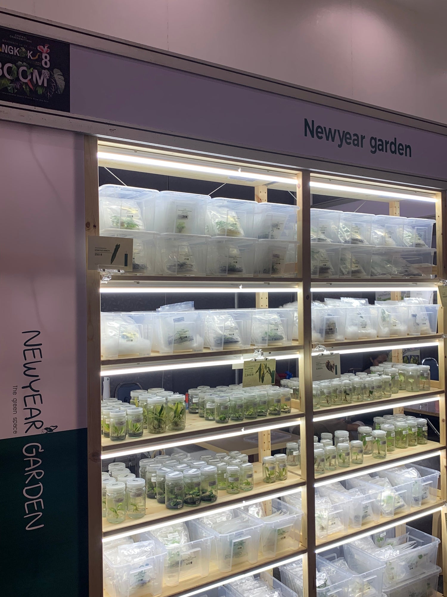 FIRST BOOTH'S NEWYEARGARDEN