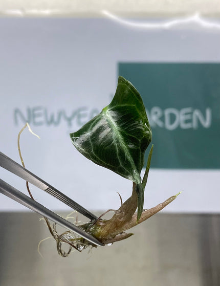 Collection image for: Best Sellers