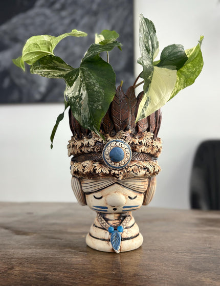 Collection image for: Ceramic Planter