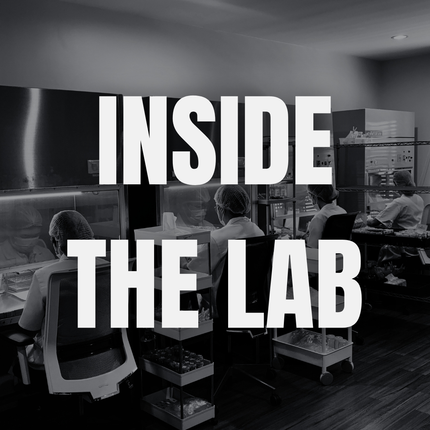 INSIDE THE LAB