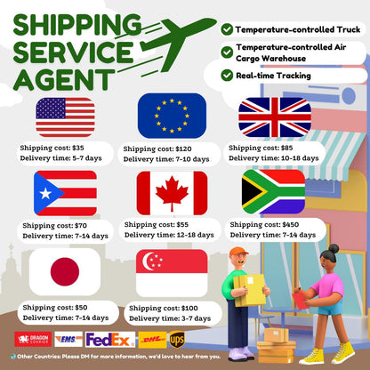 Special Set of 20 Bags of Epipremnum Tissue Culture