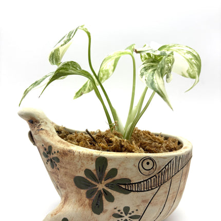 Ceramic Whale Planter Pot with Hand-Painted Floral Design