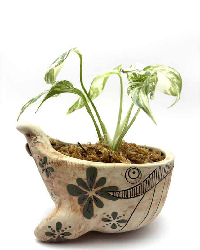 Ceramic Whale Planter Pot with Hand-Painted Floral Design