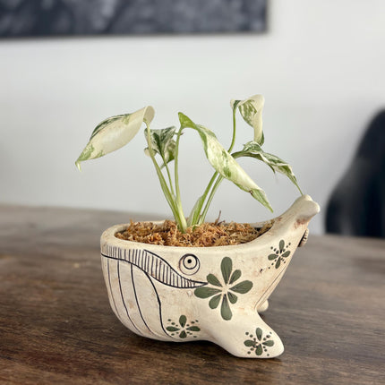 Ceramic Whale Planter Pot with Hand-Painted Floral Design