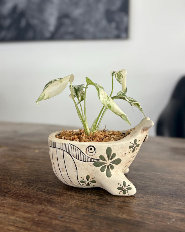 Ceramic Whale Planter Pot with Hand-Painted Floral Design