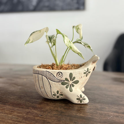 Ceramic Whale Planter Pot with Hand-Painted Floral Design