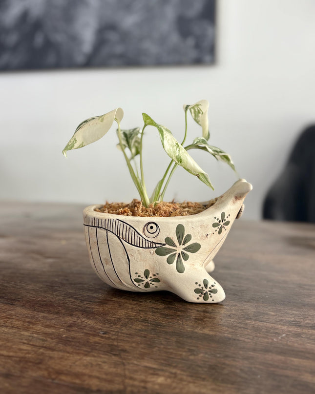 Ceramic Whale Planter Pot with Hand-Painted Floral Design